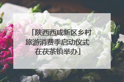 陕西西咸新区乡村旅游消费季启动仪式在茯茶镇举办